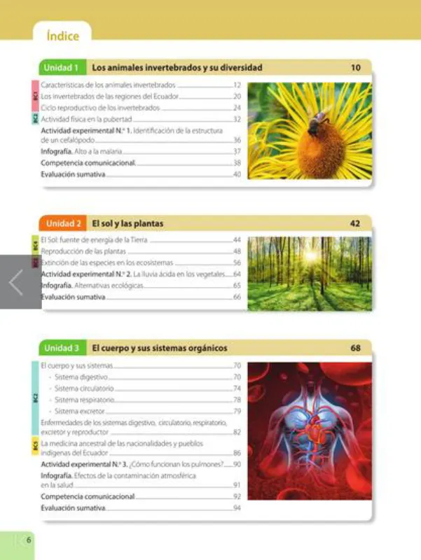 Portada del material: Libro de Ciencias Naturales 5 EGB PDF